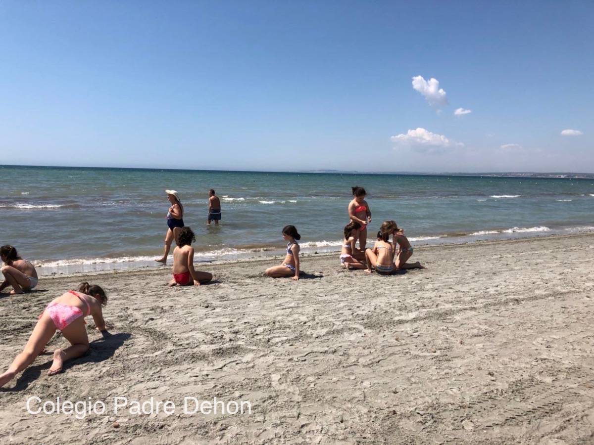 IMAGE 2018 06 22 09:36:17